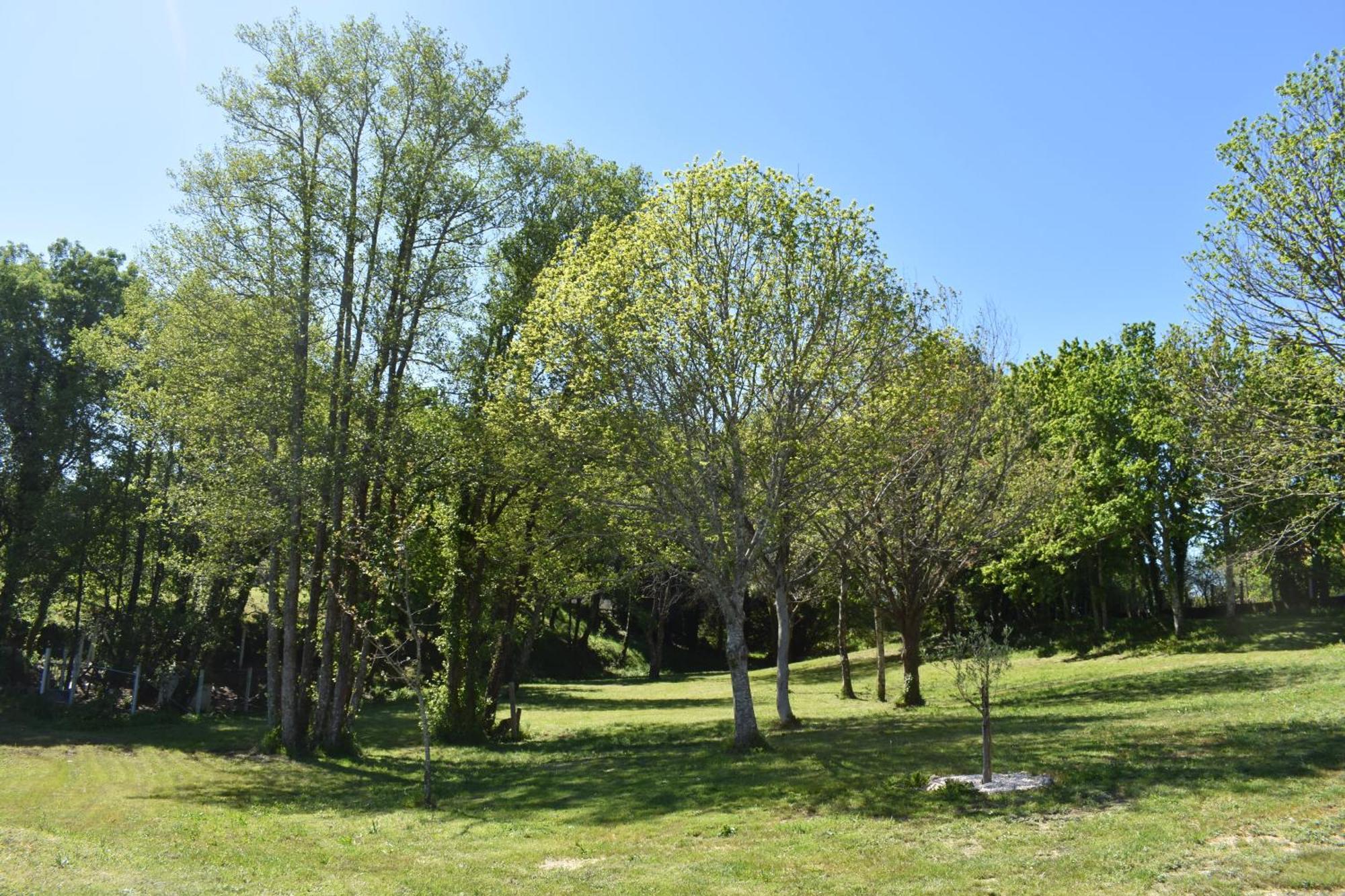 Cabanas Do Carpinteiro / Santiago De Compostela - Rias Baixas Pontevedra Bagian luar foto